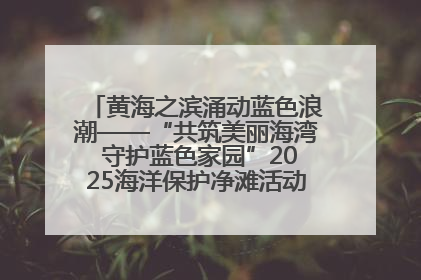 黄海之滨涌动蓝色浪潮——“共筑美丽海湾 守护蓝色家园”2025海洋保护净滩活动暨“美丽江苏—江河湖海青蓝行”海洋篇在连云港举行