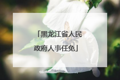 黑龙江省人民政府人事任免