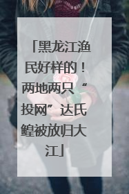 黑龙江渔民好样的！两地两只“投网”达氏鳇被放归大江
