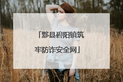 黟县碧阳镇筑牢防诈安全网