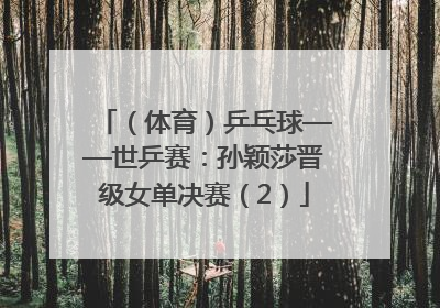 （体育）乒乓球——世乒赛：孙颖莎晋级女单决赛（2）