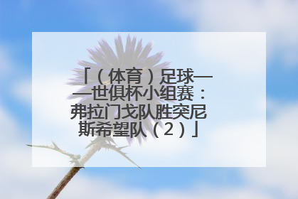 （体育）足球——世俱杯小组赛：弗拉门戈队胜突尼斯希望队（2）
