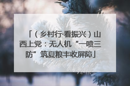 （乡村行·看振兴）山西上党：无人机“一喷三防”筑夏粮丰收屏障