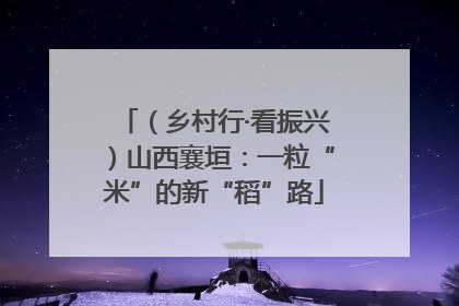 （乡村行·看振兴）山西襄垣：一粒“米”的新“稻”路