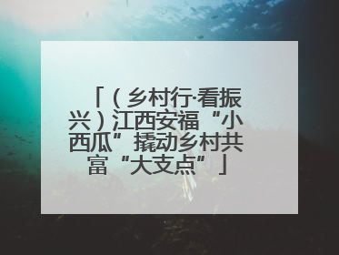 （乡村行·看振兴）江西安福“小西瓜”撬动乡村共富“大支点”