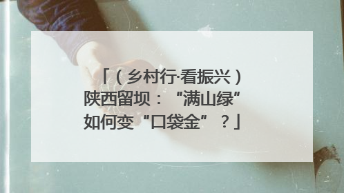 （乡村行·看振兴）陕西留坝：“满山绿”如何变“口袋金”？