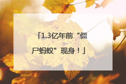1.3亿年前“僵尸蚂蚁”现身！