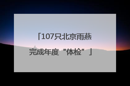 107只北京雨燕完成年度“体检”