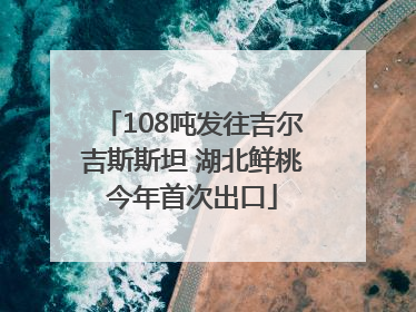 108吨发往吉尔吉斯斯坦 湖北鲜桃今年首次出口