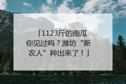 1123斤的南瓜你见过吗？潍坊“新农人”种出来了！