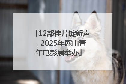 12部佳片绽新声，2025年麓山青年电影展举办