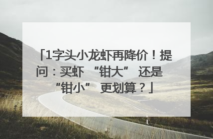 1字头小龙虾再降价！提问：买虾 “钳大” 还是 “钳小” 更划算？