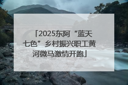2025东阿“蓝天七色”乡村振兴职工黄河微马激情开跑