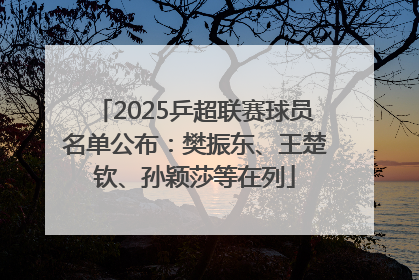 2025乒超联赛球员名单公布：樊振东、王楚钦、孙颖莎等在列