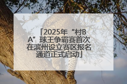 2025年“村BA”球王争霸赛首次在滨州设立赛区报名通道正式启动
