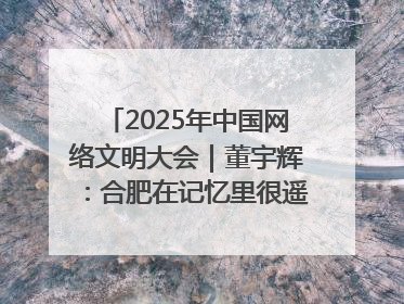 2025年中国网络文明大会｜董宇辉：合肥在记忆里很遥远也很亲切