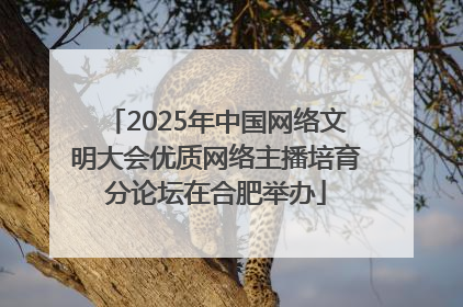 2025年中国网络文明大会优质网络主播培育分论坛在合肥举办