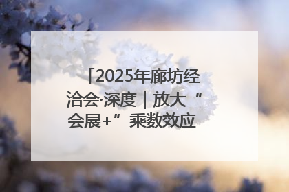 2025年廊坊经洽会·深度｜放大“会展+”乘数效应 打造消费新场景