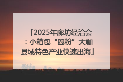 2025年廊坊经洽会：小箱包“圈粉”大咖 县域特色产业快速出海