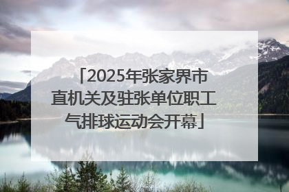 2025年张家界市直机关及驻张单位职工气排球运动会开幕