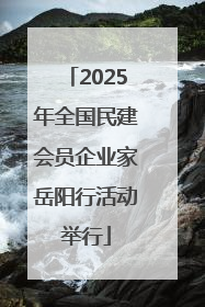 2025年全国民建会员企业家岳阳行活动举行
