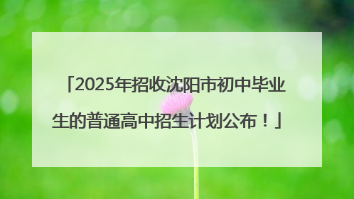 2025年招收沈阳市初中毕业生的普通高中招生计划公布！