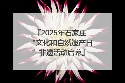 2025年石家庄“文化和自然遗产日”非遗活动启幕