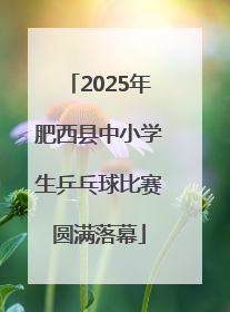 2025年肥西县中小学生乒乓球比赛圆满落幕