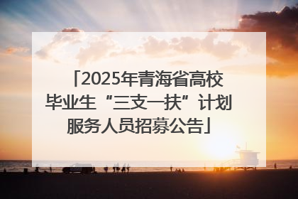 2025年青海省高校毕业生“三支一扶”计划服务人员招募公告