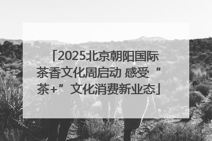 2025北京朝阳国际茶香文化周启动 感受“茶+”文化消费新业态