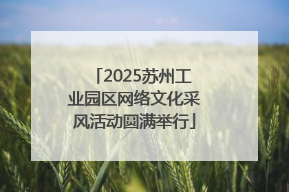 2025苏州工业园区网络文化采风活动圆满举行