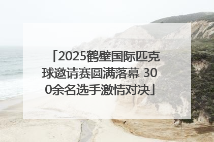 2025鹤壁国际匹克球邀请赛圆满落幕 300余名选手激情对决
