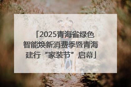2025青海省绿色智能焕新消费季暨青海建行“家装节”启幕
