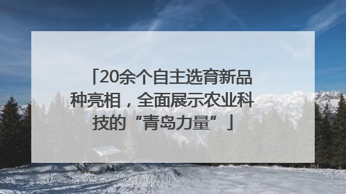 20余个自主选育新品种亮相，全面展示农业科技的“青岛力量”