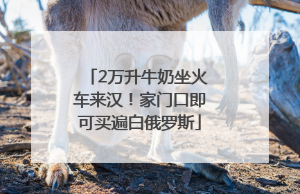 2万升牛奶坐火车来汉！家门口即可买遍白俄罗斯