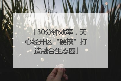30分钟效率，天心经开区“硬核”打造融合生态圈