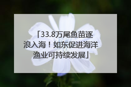 33.8万尾鱼苗逐浪入海！如东促进海洋渔业可持续发展