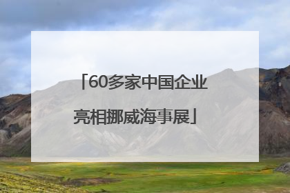 60多家中国企业亮相挪威海事展