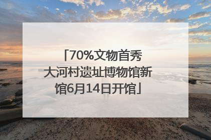 70%文物首秀 大河村遗址博物馆新馆6月14日开馆