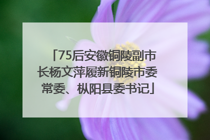 75后安徽铜陵副市长杨文萍履新铜陵市委常委、枞阳县委书记