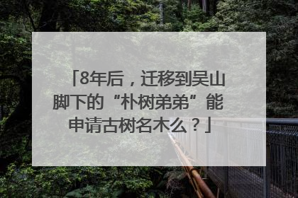8年后，迁移到吴山脚下的“朴树弟弟”能申请古树名木么？