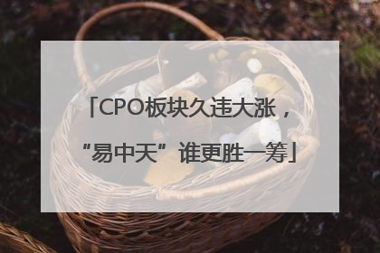 CPO板块久违大涨，“易中天”谁更胜一筹