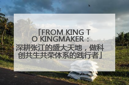 FROM KING TO KINGMAKER：深耕张江的盛大天地，做科创共生共荣体系的践行者