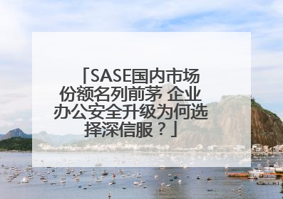 SASE国内市场份额名列前茅 企业办公安全升级为何选择深信服？