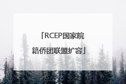 RCEP国家皖籍侨团联盟扩容